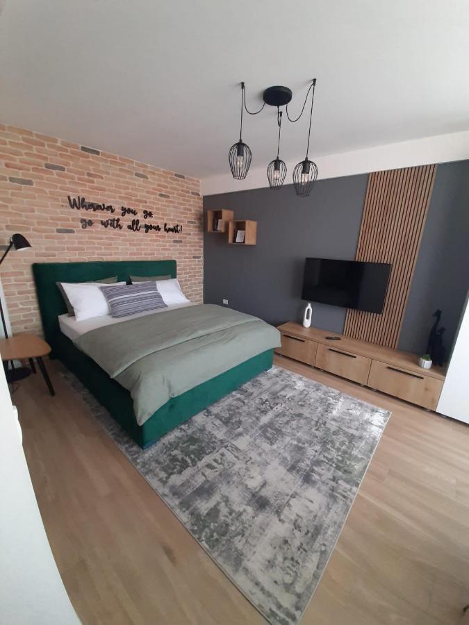 City Center View Studio Apartment 1 Timisoara Esterno foto