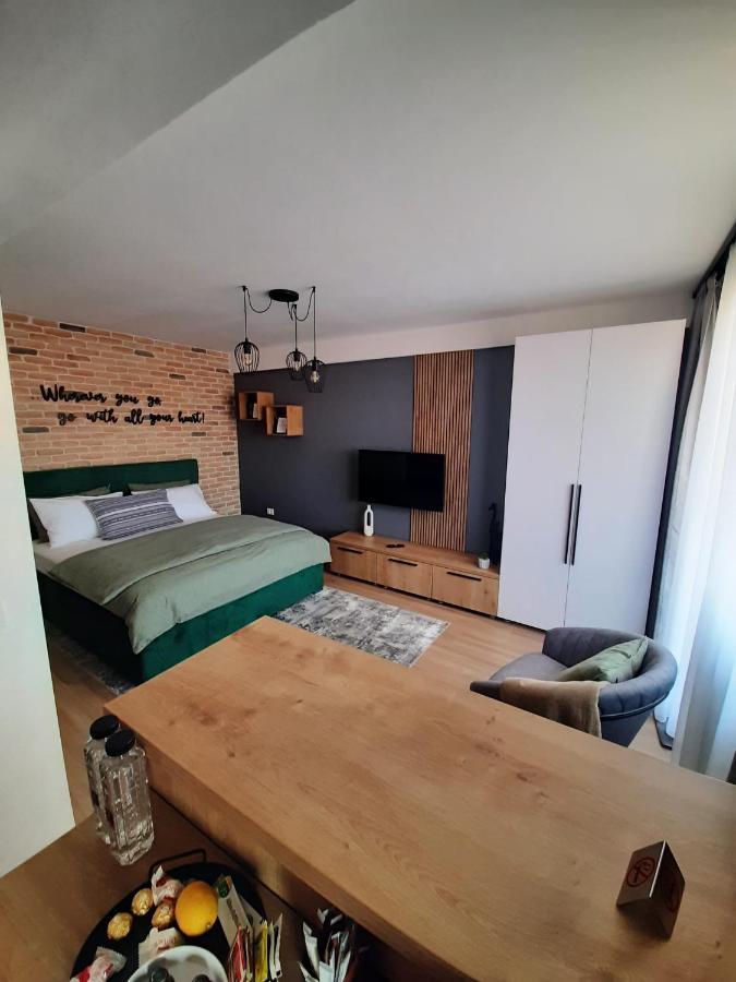 City Center View Studio Apartment 1 Timisoara Esterno foto